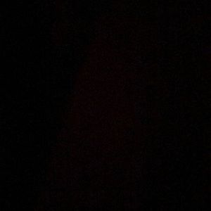 Meet your Posher, Lee